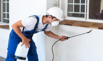 A Fantastic Company For Wildlife Removal In Brick NJ