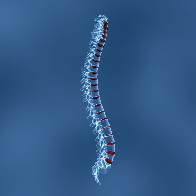 Undergoing Professional Treatment for Spine Pain in Jacksonville