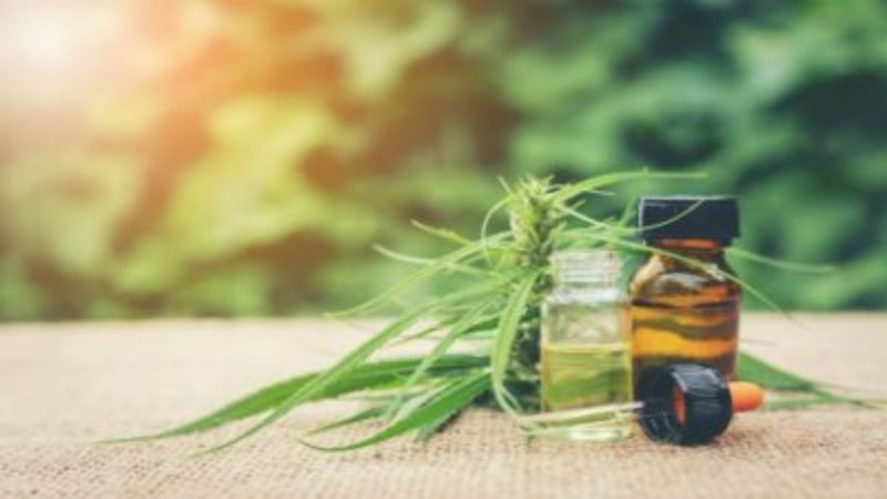 Get Assistance From a Top Company Providing Marijuana Marketing