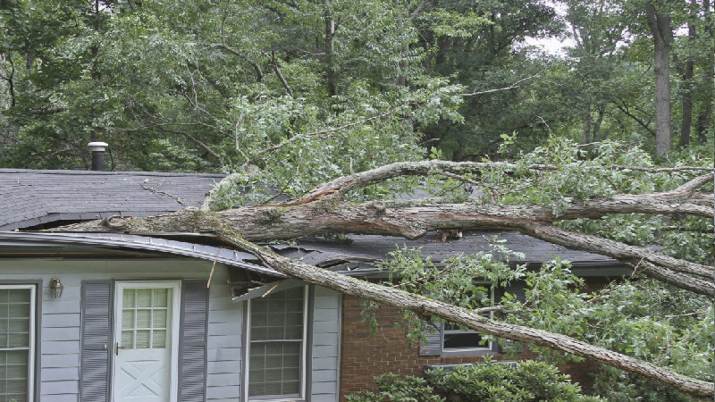 When You’re In Need Of Roofing Work, Call A Residential Roofer in Longmont CO
