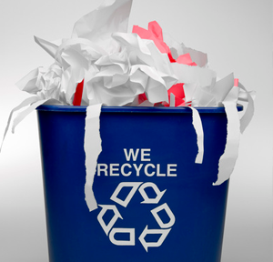 3 Benefits of Residential Yard Debris Removal Services in Eugene