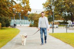 Choose a Manhattan Dog Walking Service Company You Can Trust