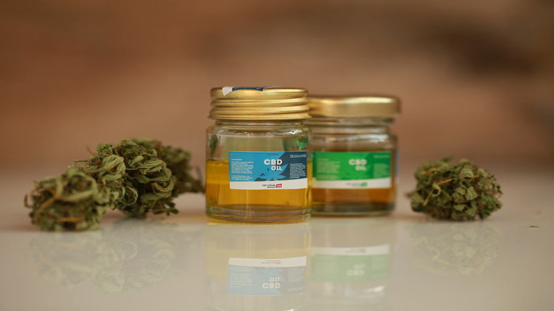 Tips for Shopping at a Medical Cannabis Dispensary in Biloxi, MS