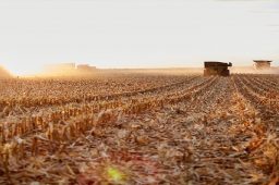 Give Your Crops Care with Seed Treatment in Vernon County, WI