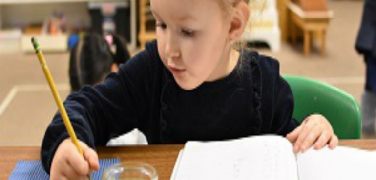 What Can You Expect from a Montessori School in Minneapolis, MN?