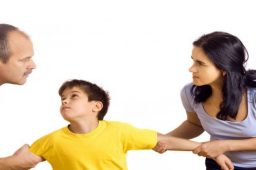 Tips for Finding the Best Attorney  for Your Child Custody Case