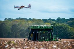 What Soil Testing in Hardeman County, TN, Will Tell You About Your Land
