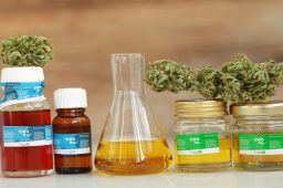 What to Know About CBD Topicals in Wisconsin