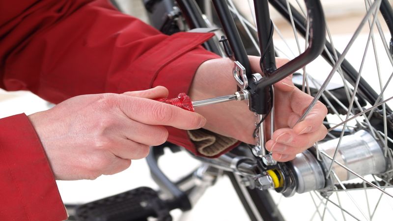 Discover this Great Bike Shop in Charleston and Hit the Road or Trail