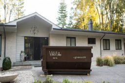 Make Cleanup Quick with a Trash Dumpster Near Hilton Head, SC