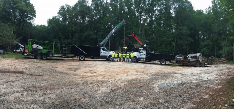 What to Expect From a Tree Surgeon in Newnan, GA