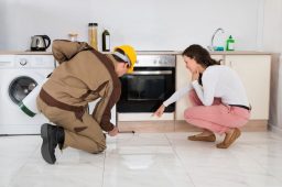 Getting Rid of Spiders with Experts in Pest Control in Peachtree City, GA