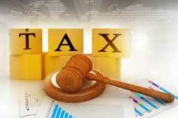 See What Small Business Accounting in Marietta, GA, Can Do For Your Business