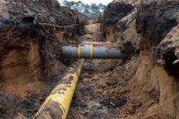 Signs of a Reliable Construction Supply in Florida
