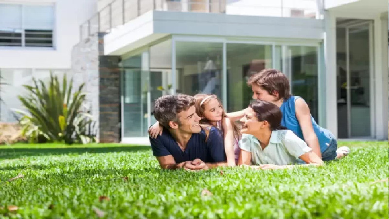 Find Professional Mosquito Control for Yards in Sellersburg, IN for Great Results Every Time