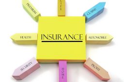 Why You Need Automobile Insurance in Naples, FL to Protect Your Family