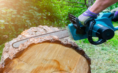 Ultimate Guide to Tree Removal Services in Atlanta, GA