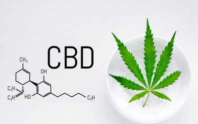 Unveiling the Unique Appeal of Elyon Long Beach Cannabis Strains