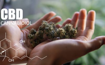 Best Weed Deals New Jersey: Where to Save Big on Quality Cannabis
