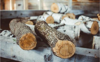 Best Places to Find Fire Wood Sales Near NJ for Cozy Winter Nights