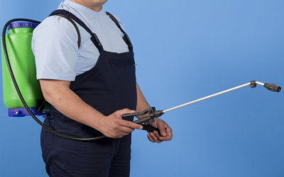 Effective Mosquito Control Near Peachtree City, GA: Your Seasonal Guide