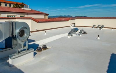 Roofing Companies in Denver CO: Find Reliable Experts for Your Home
