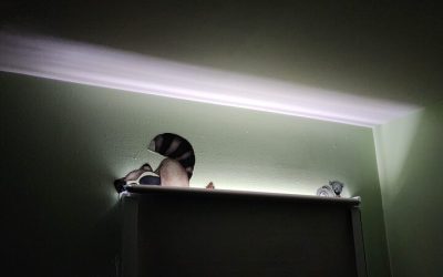 How a Light Gap Blocker Can Instantly Boost Privacy and Comfort in Your American Home