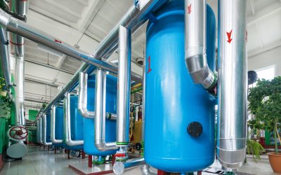 Protect Your Home from Pests with Monmouth County Exterminators Trusted by Locals