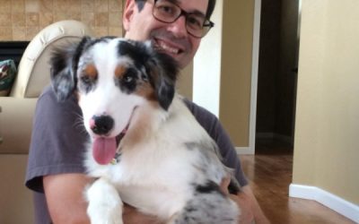 Simple Home Remedies About How Can I Help My Arthritic Dog Feel More Comfortable