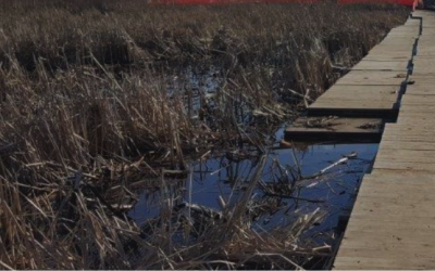 Ensure Project Safety and Stability with an Access Mat Solution for American Worksites