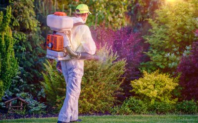 Enjoy Outdoor Living with Lawn Spray for Chiggers, Haymarket, VA, Protection