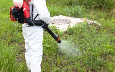 Enjoy peace of mind at home using Pest Control Services Cedar Grove NJ for lasting protection