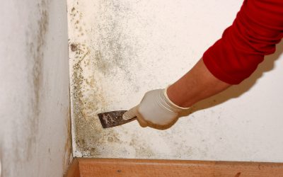 Restore Smooth Walls with Expert Drywall Crack Repair Rome GA Homeowners Trust Most